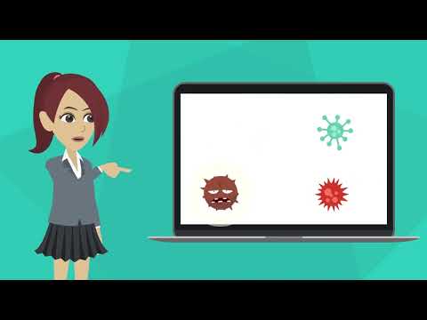 Seguridad informática: La importancia de Actualizar el software