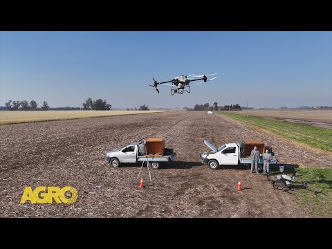 Drones en acción : el futuro del agro ya está en el aire con Banburubí (#1159 2025-10-25)