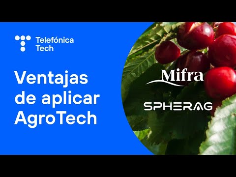 Mifra: el claro ejemplo de las ventajas del AgroTech | Caso de éxito | Telefónica Tech
