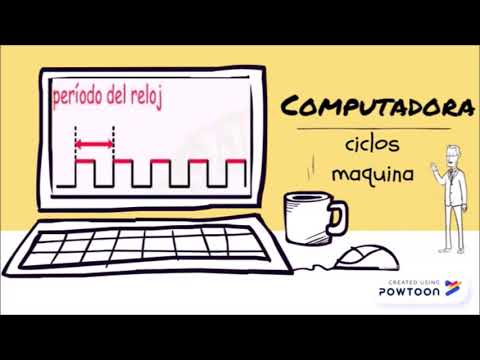 ciclo de instruccion