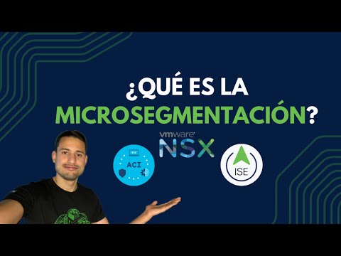 ¿Qué es la Microsegmentación?