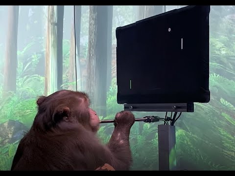 Monkey MindPong